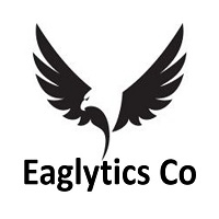 Eaglytics Co Siddhant Mehandru